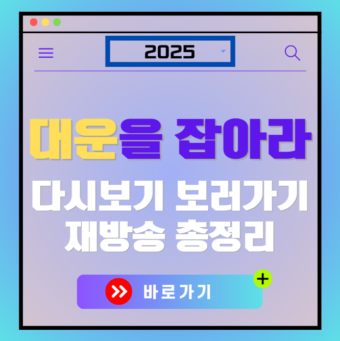 대운을 잡아라 다시보기, 재방송 보러가기, OTT 출연진 모든 정보