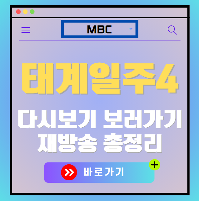 태어난김에 세계일주4 다시보기, 재방송 보러가기, OTT 출연진 모든 정보