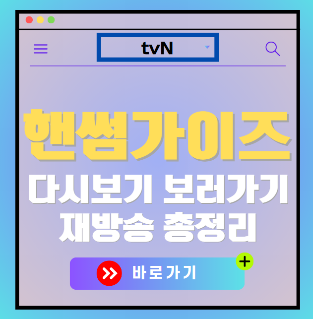 핸썸가이즈 다시보기, 재방송 보러가기, OTT 출연진 모든 정보